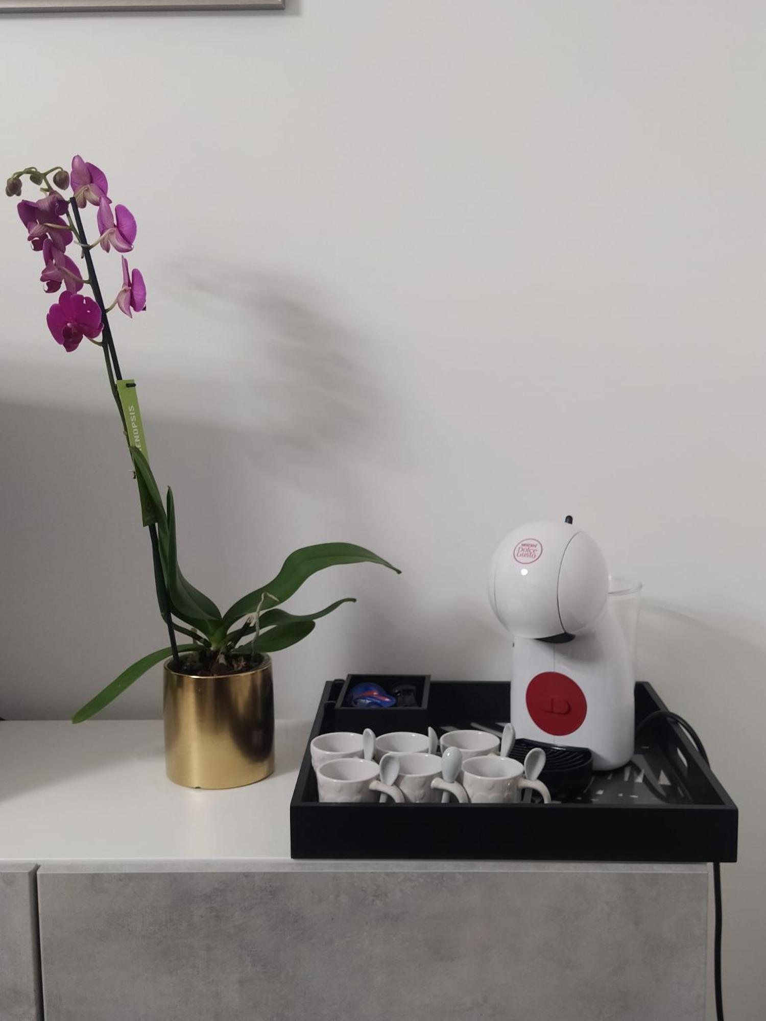 Apartment La Perla Del Mare - 9 Minutes From Fco Airport - Free Wifi E Netflix Fiumicino